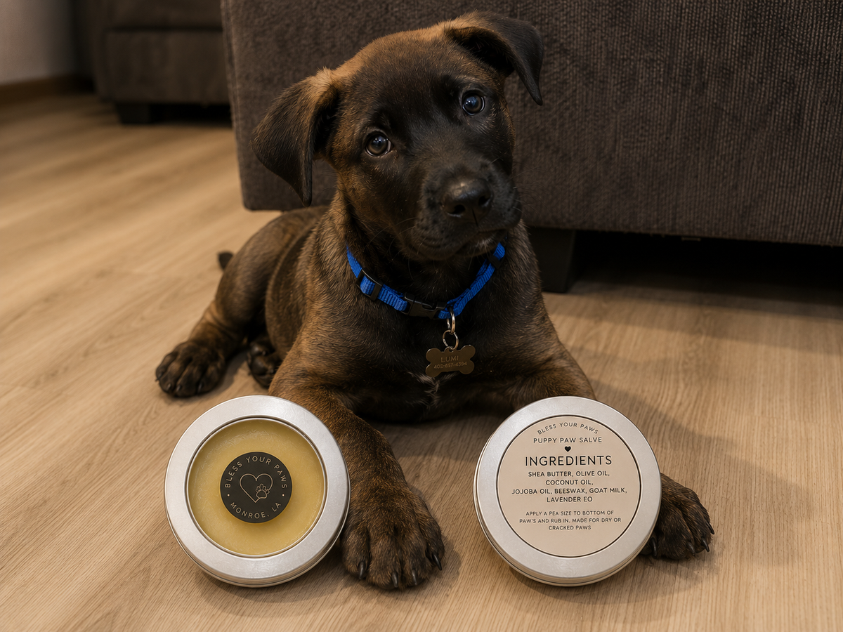 Puppy paws salve